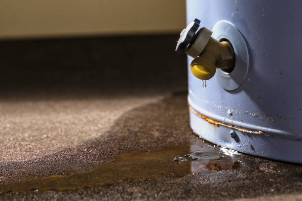 Sewage cleanup and water damage restoration in AZ