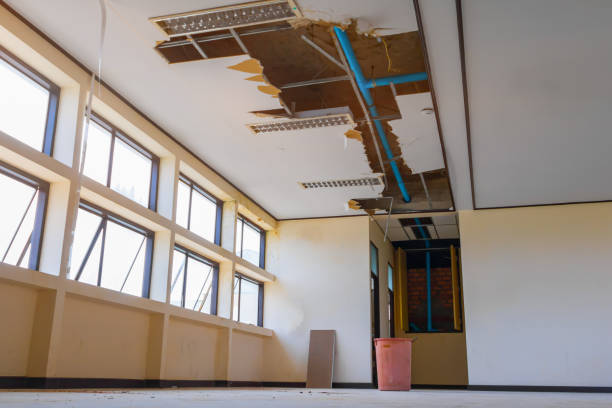 Best Flooded house restoration  in Buckeye, AZ