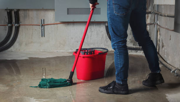 Best Water damage contractors near me  in Buckeye, AZ
