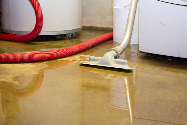 Best 24-hour water damage restoration  in Buckeye, AZ