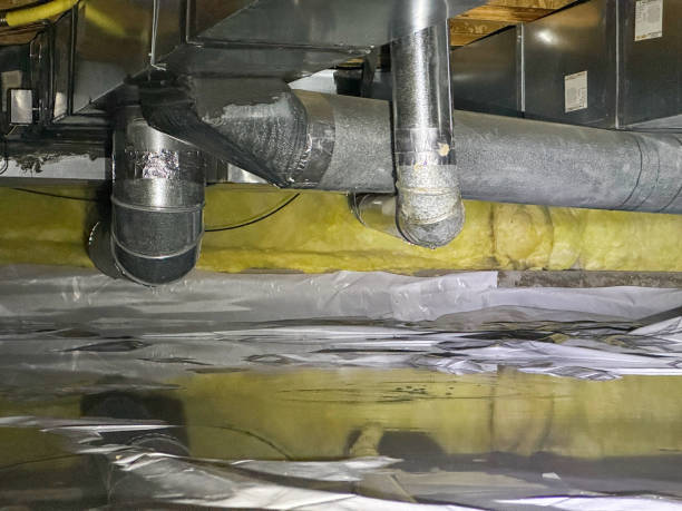 Best Water damage restoration cost  in Buckeye, AZ