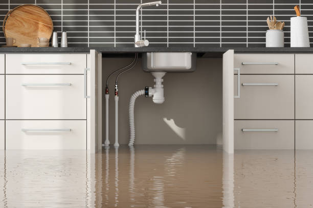Best Flood damage cleanup  in Buckeye, AZ
