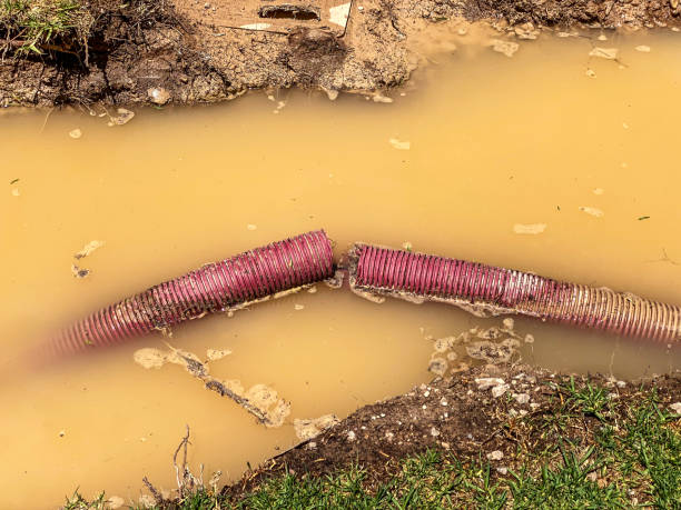  Buckeye, AZ Water damage restoration Pros