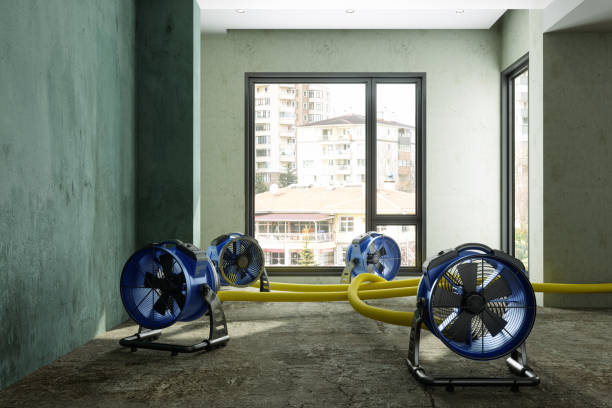 Best Ceiling water damage repair  in Buckeye, AZ